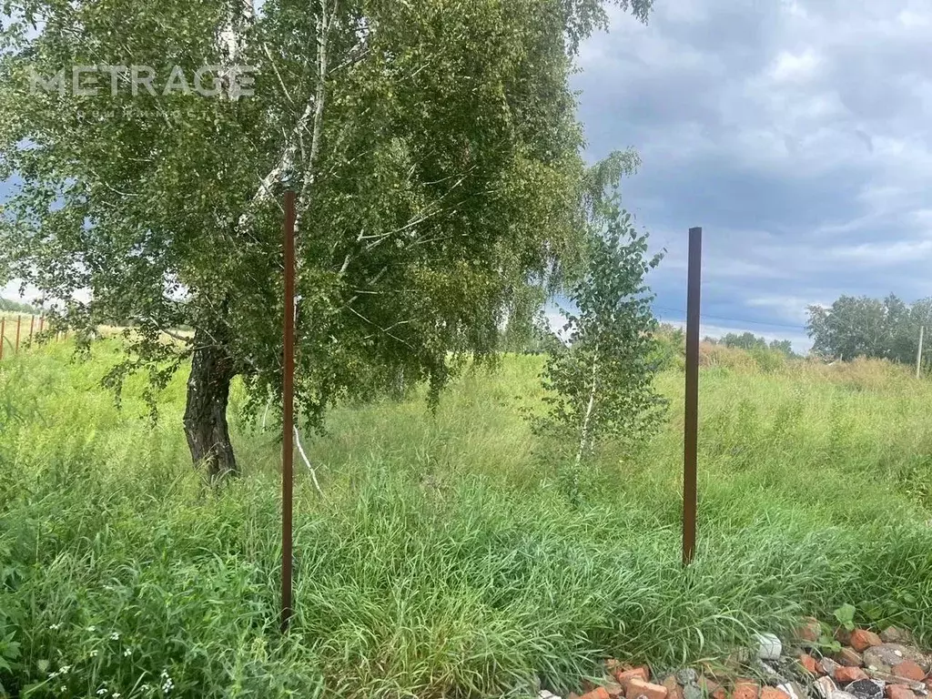 Участок в Новосибирская область, Новосибирский район, Верх-Тулинский ... - Фото 1