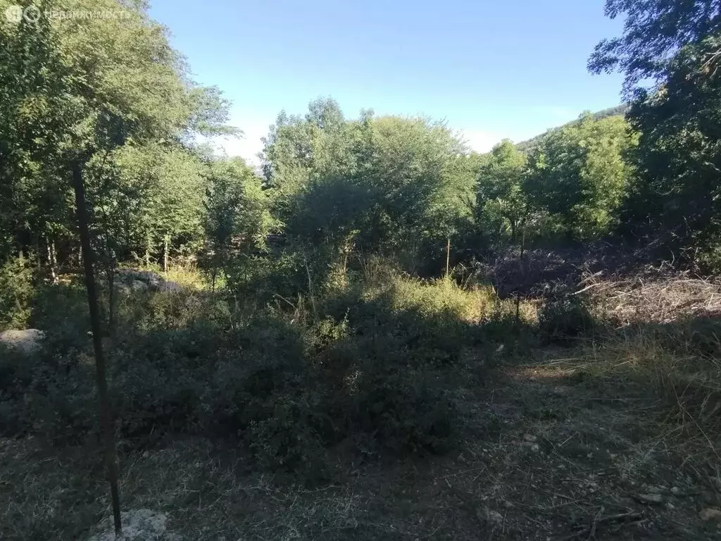 Участок в Орлиновский муниципальный округ, село Родниковое (10 м) - Фото 2