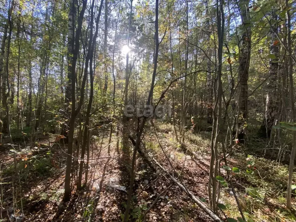 Участок в Московская область, Дубна  (10.6 сот.) - Фото 1