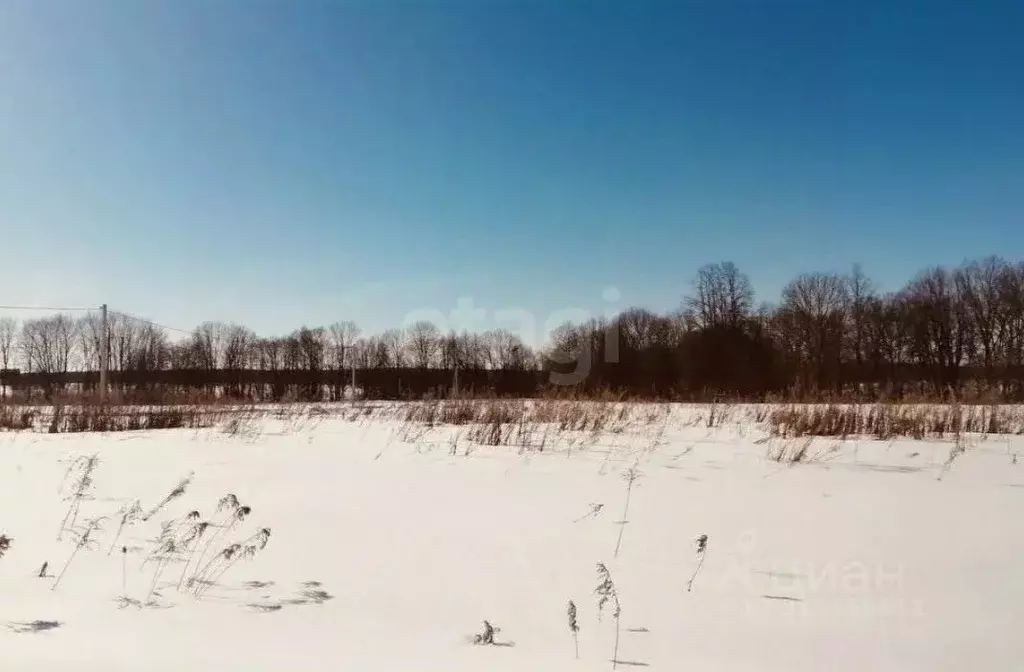 Участок в Свердловская область, Нижний Тагил Елочка-2 СНТ,  (6.0 сот.) - Фото 1