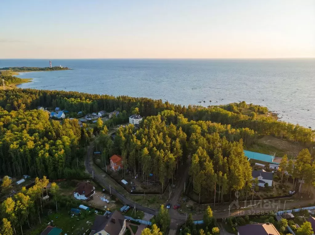 Участок в Ленинградская область, Ломоносовский район, Лебяженское ... - Фото 1