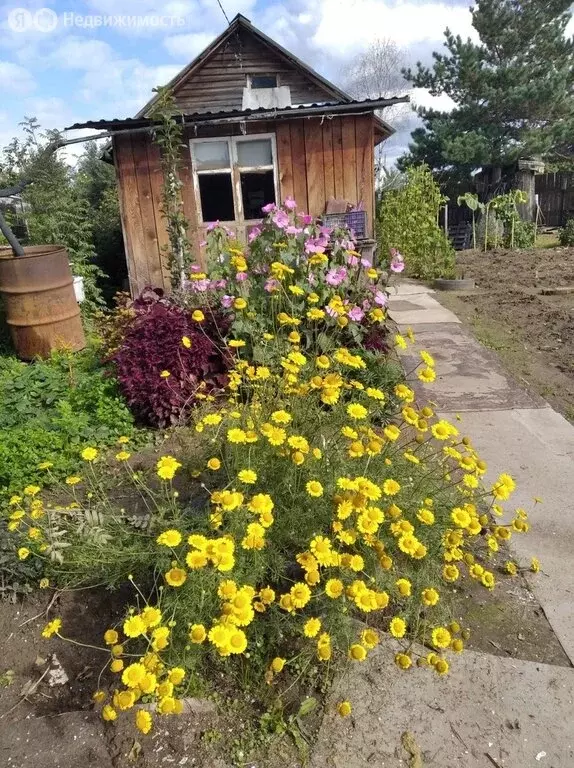 Участок в Сосновоборск, Заводская улица (8 м) - Фото 1