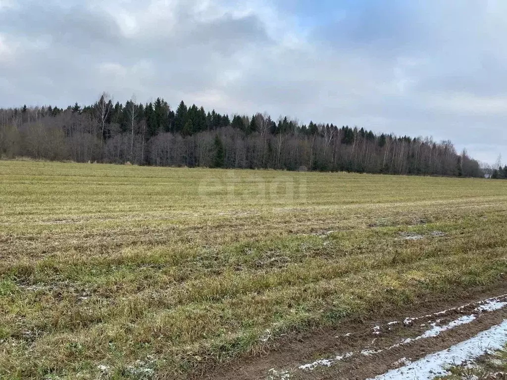 Участок в Вологодская область, д. Заречная  (14.46 сот.) - Фото 1