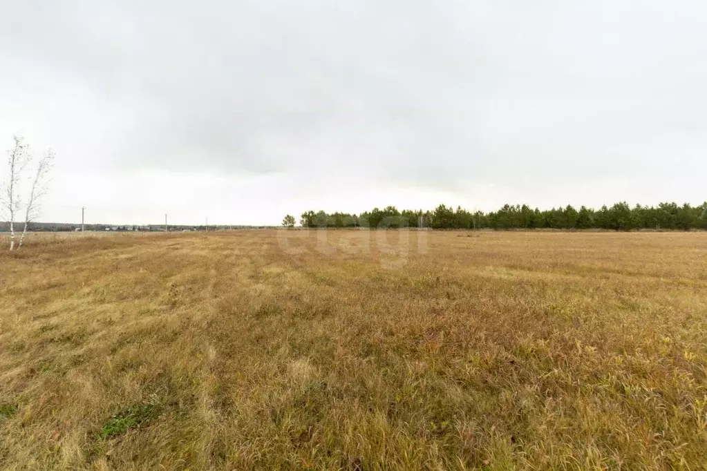Участок в Тюменская область, Тюменский муниципальный округ, Каменское ... - Фото 1