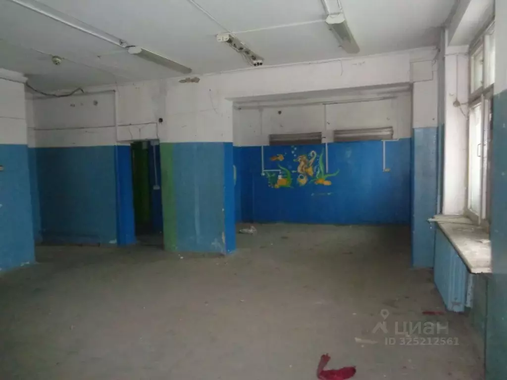 Помещение свободного назначения в Брянская область, Брянск Гомельская ... - Фото 1