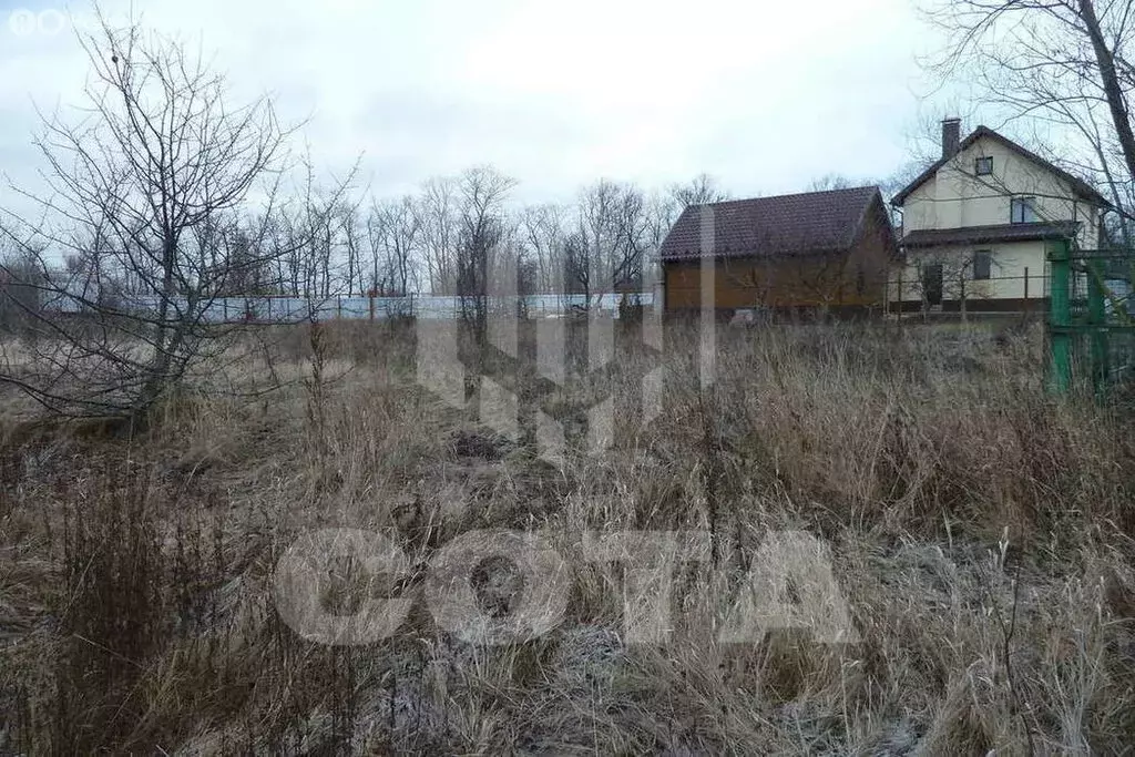 Участок в Воронежская область, село Новая Усмань (12 м) - Фото 2
