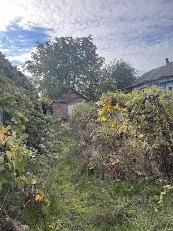 Участок в Ростовская область, Азовский район, с. Самарское Кривая ул., ... - Фото 2