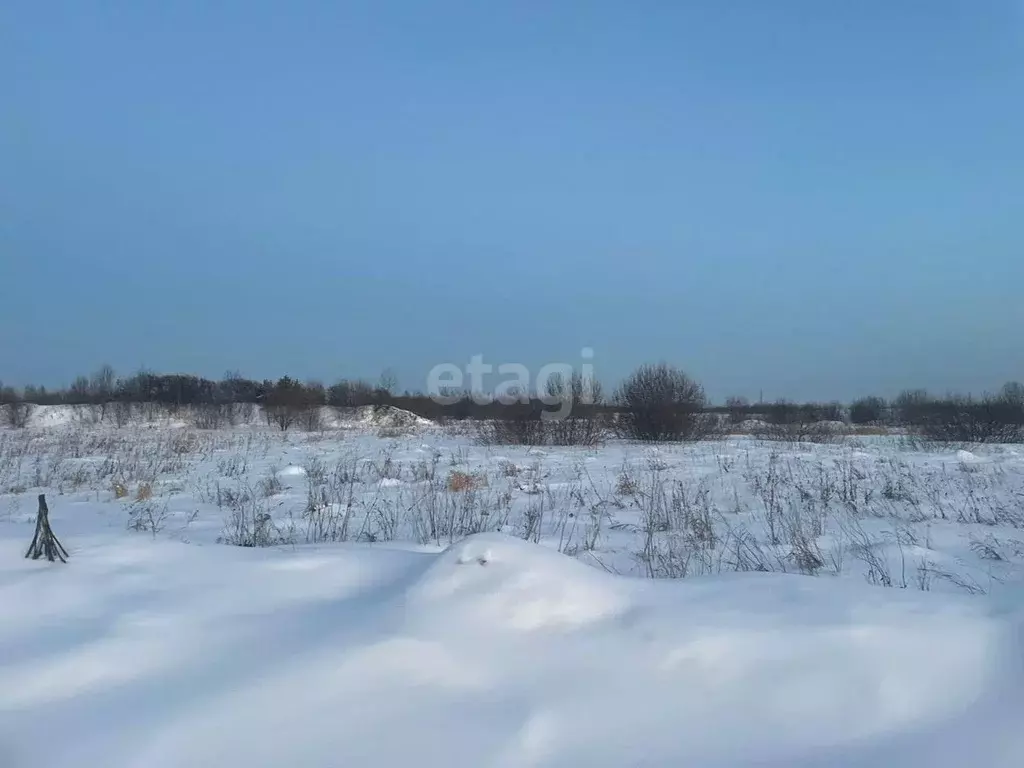 Участок, 10 сот., поселения (ижс) - Фото 0