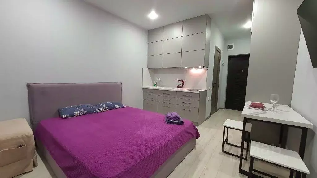 1-к кв. Краснодарский край, Сочи Веселая ул., 28с1 (20.0 м) - Фото 1