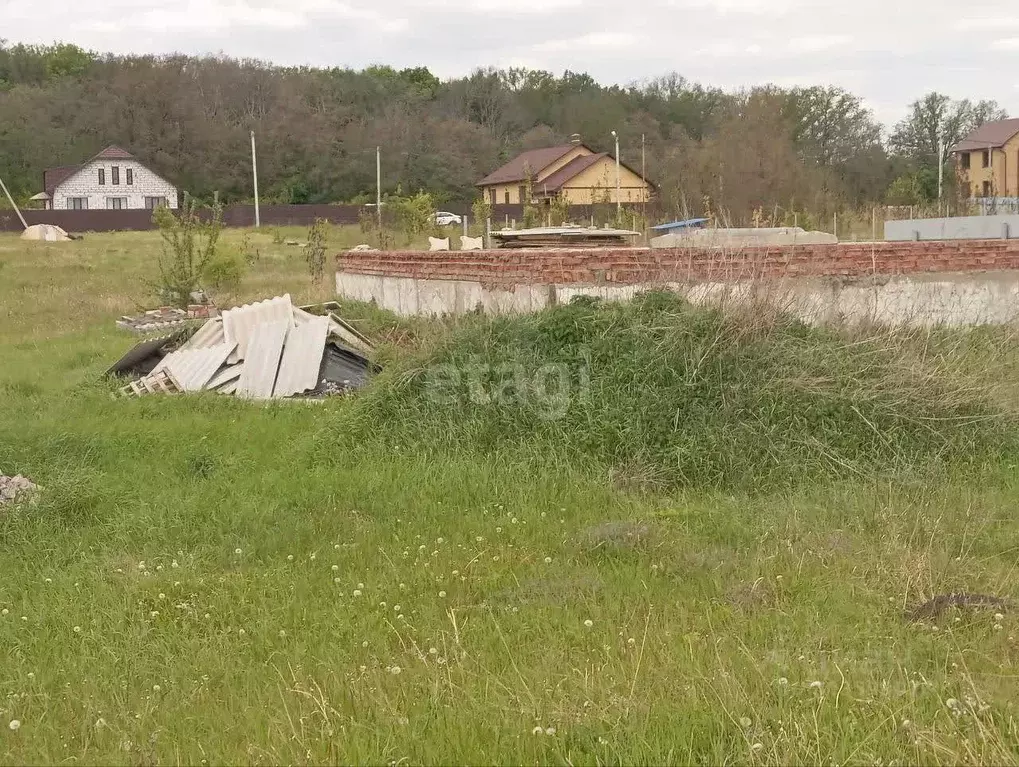 Участок в Белгородская область, Новооскольский муниципальный округ, с. ... - Фото 1