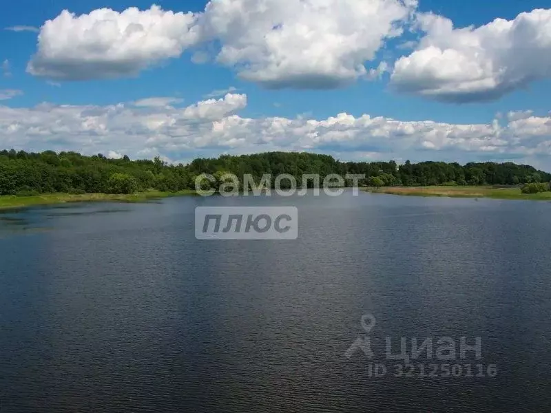 Участок в Тверская область, Зубцовский муниципальный округ, Синергия ... - Фото 1
