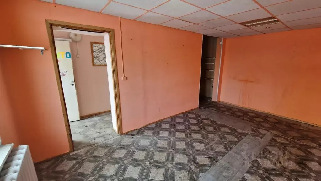 Помещение свободного назначения в Мурманская область, Заозерск ... - Фото 1