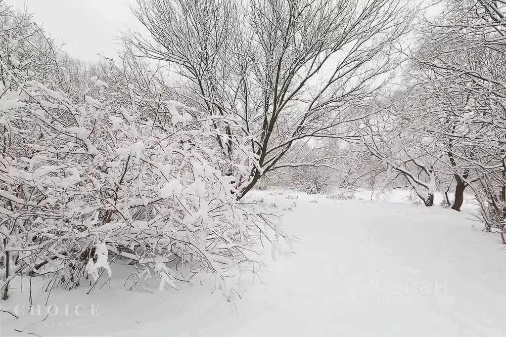 Участок в Московская область, Истра муниципальный округ, д. Чесноково, ... - Фото 1