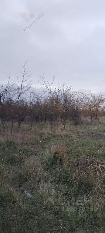 Участок в Адыгея, Теучежский район, Тлюстенхабльское городское ... - Фото 1