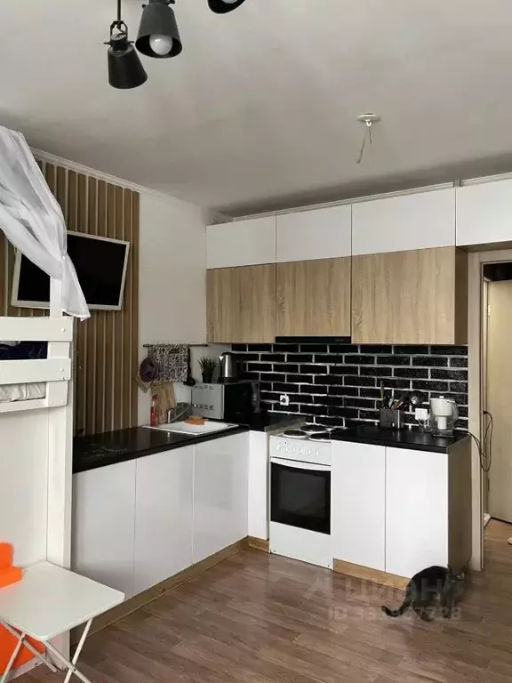 Студия Пермский край, Пермь ул. Солдатова, 29В (22.7 м) - Фото 1