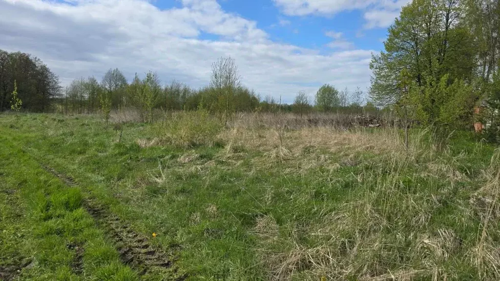 Участок в Московская область, Ступино городской округ, д. Дубнево  ... - Фото 1