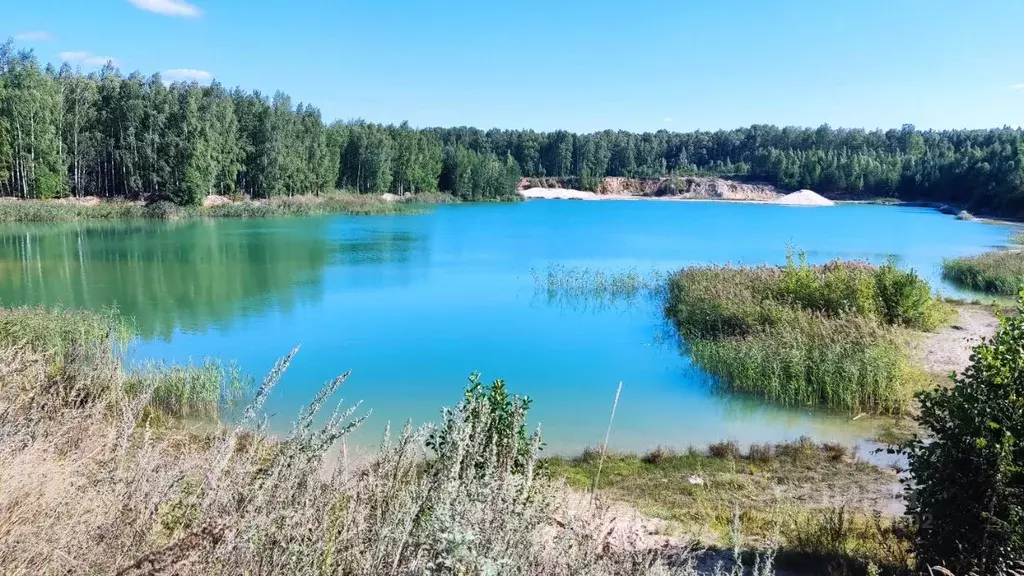 Дом в Нижегородская область, Балахнинский муниципальный округ  (130 м) - Фото 1