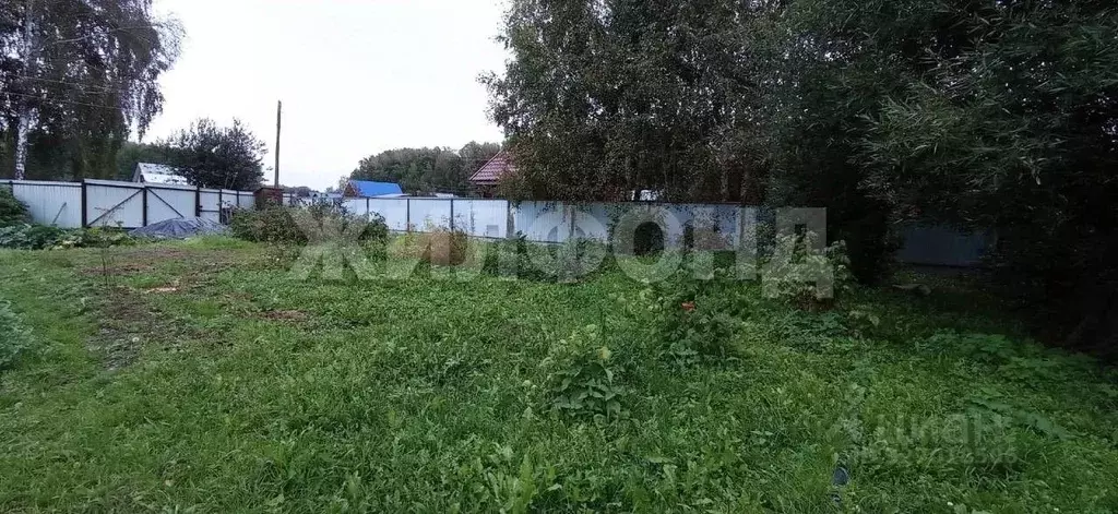 Участок в Новосибирская область, Новосибирский район, Барышевский ... - Фото 2