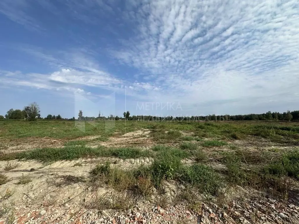 Участок в Тюменская область, Нижнетавдинский район, с. Средние Тарманы ... - Фото 1