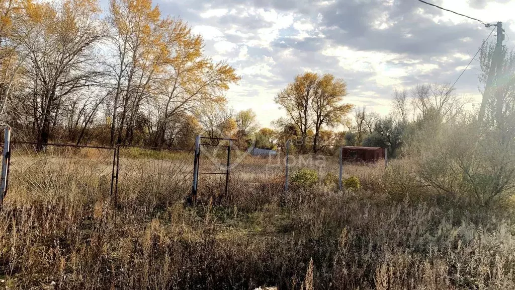 Участок в Волгоградская область, Среднеахтубинский район, Куйбышевское ... - Фото 1