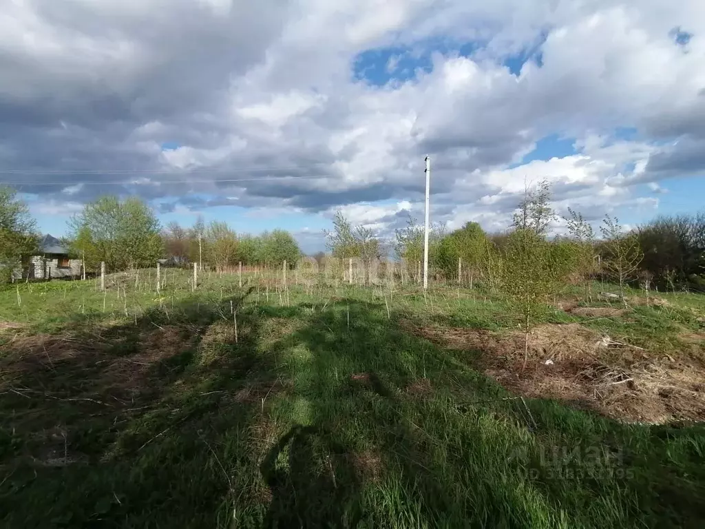 Участок в Тульская область, Алексин городской округ, д. Никулино  ... - Фото 1