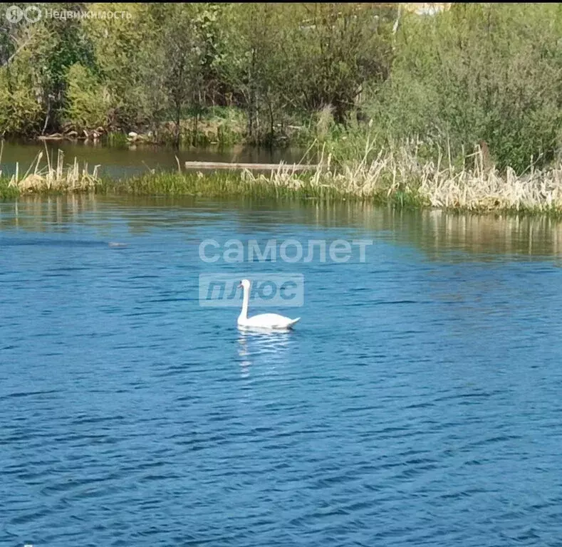 Дом в село Перевалово, Береговая улица, 4 (99.8 м) - Фото 0