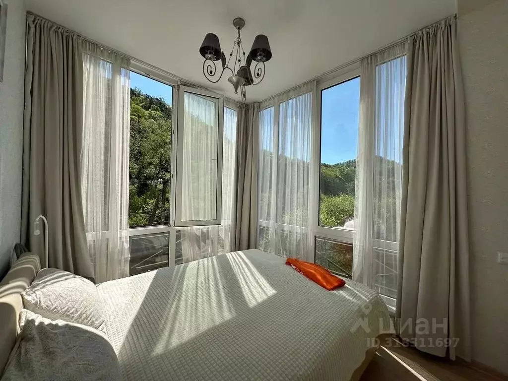 1-к кв. Краснодарский край, Сочи городской округ, Дагомыс пгт ул. ... - Фото 1