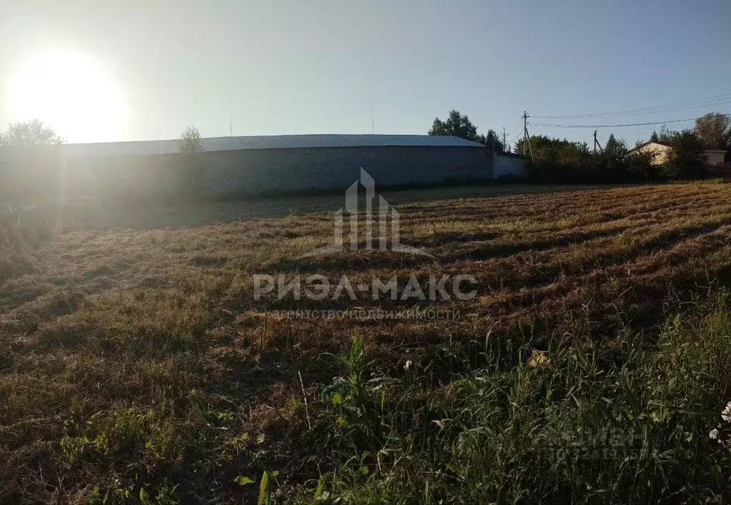 Участок в Брянская область, Брянский район, Глинищевское с/пос, с. ... - Фото 2