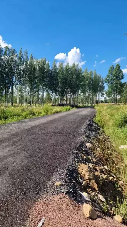 Участок в Ленинградская область, Всеволожский район, Куйвозовское ... - Фото 0