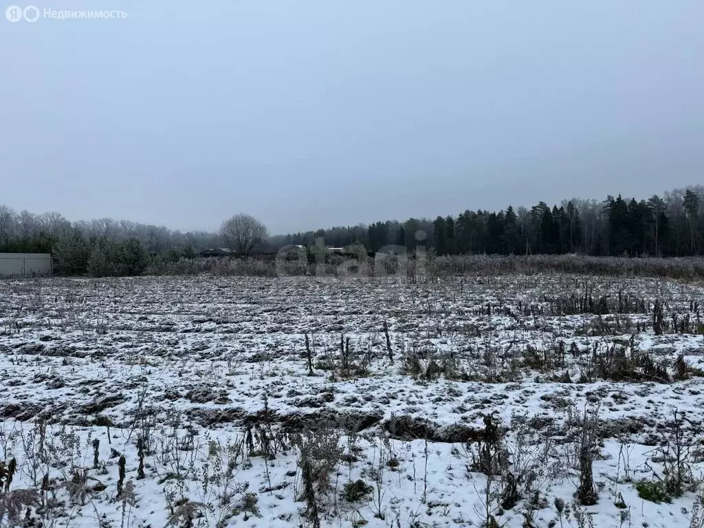 Участок в Московская область, городской округ Ступино, КП Новое ... - Фото 1