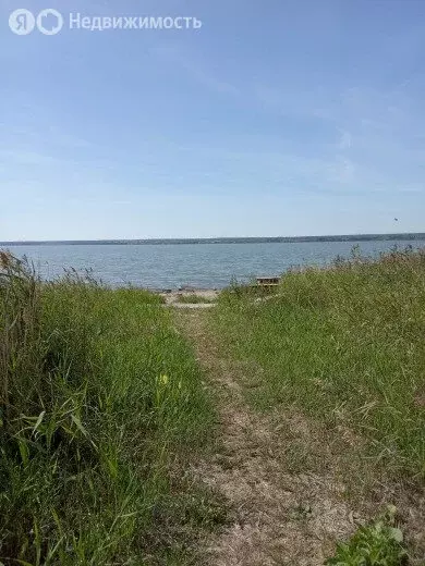 Участок в Челябинская область, Аргаяшский муниципальный округ, ДП ... - Фото 2