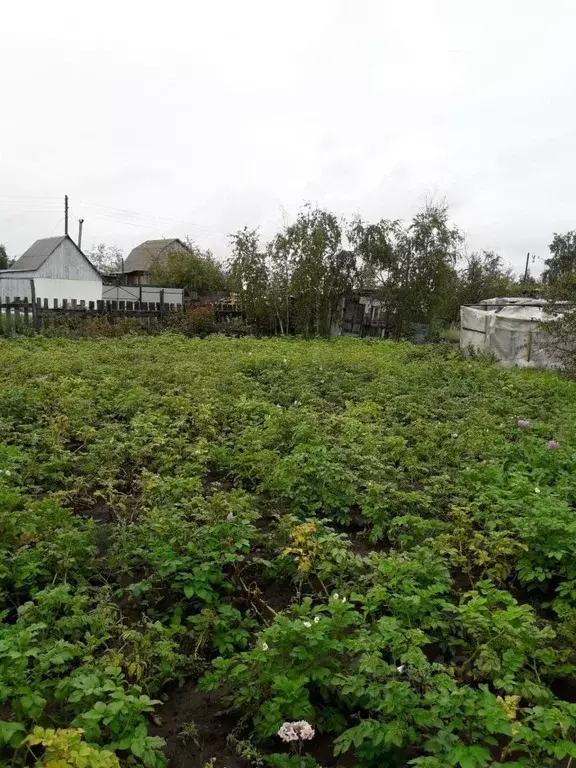 Участок в Саха (Якутия), Якутск ул. Ойунского, 8 (12.0 сот.) - Фото 0