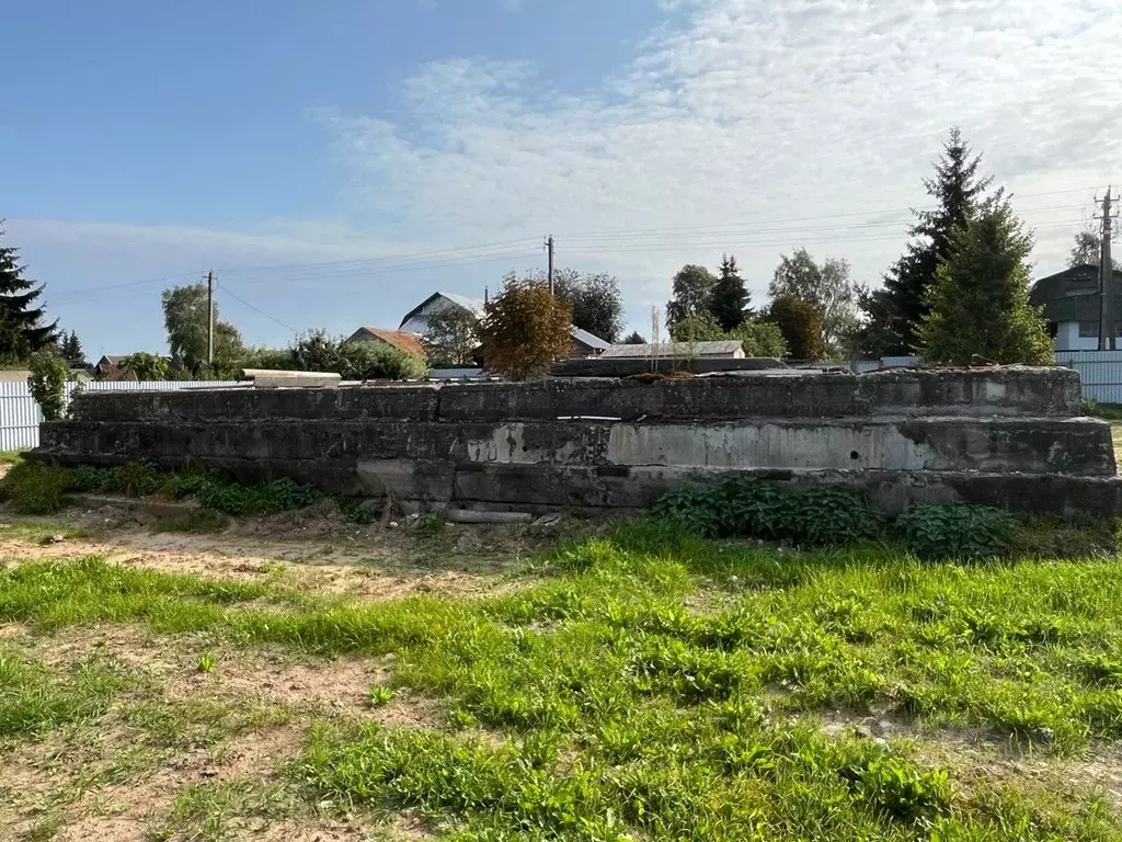 Участок в Новгородская область, Новгородский район, Борковское с/пос, ... - Фото 2