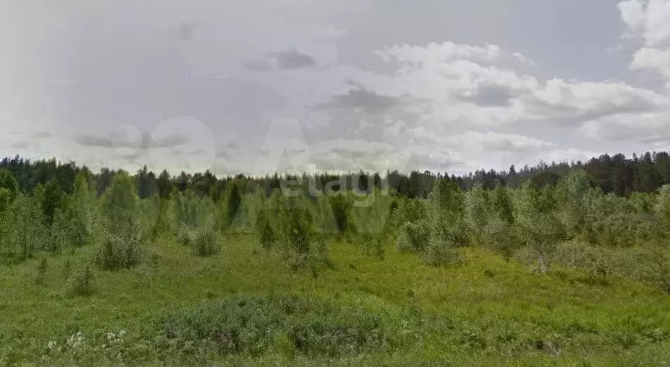Участок 8,8 сот. (ИЖС) - Фото 1