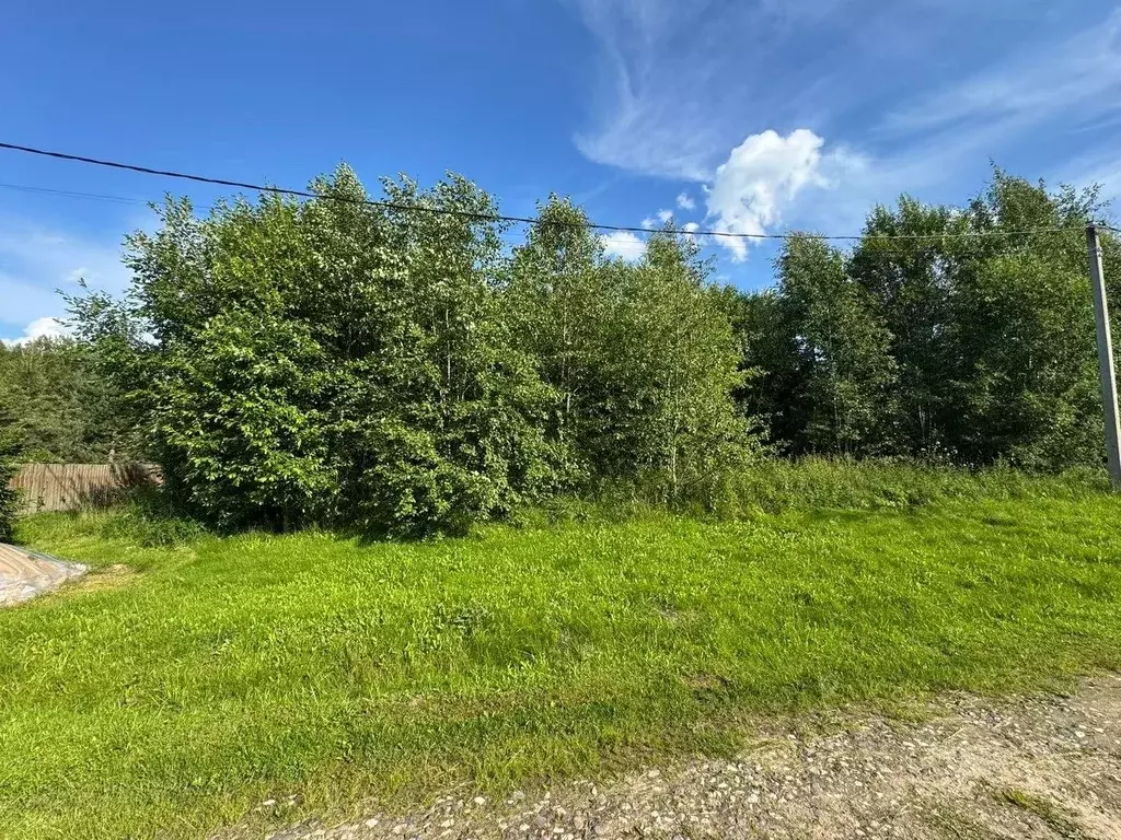 Участок в Владимирская область, Александровский муниципальный округ, ... - Фото 1