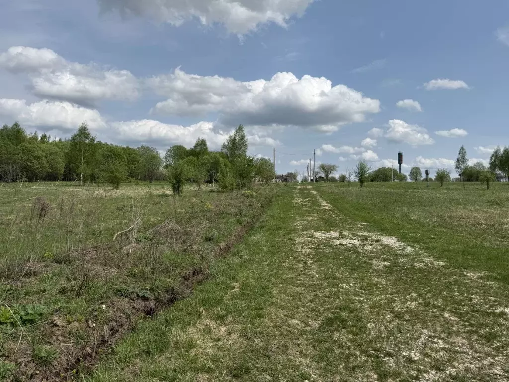 Участок в Тульская область, Тула городской округ, д. Погромное  (20.0 ... - Фото 2
