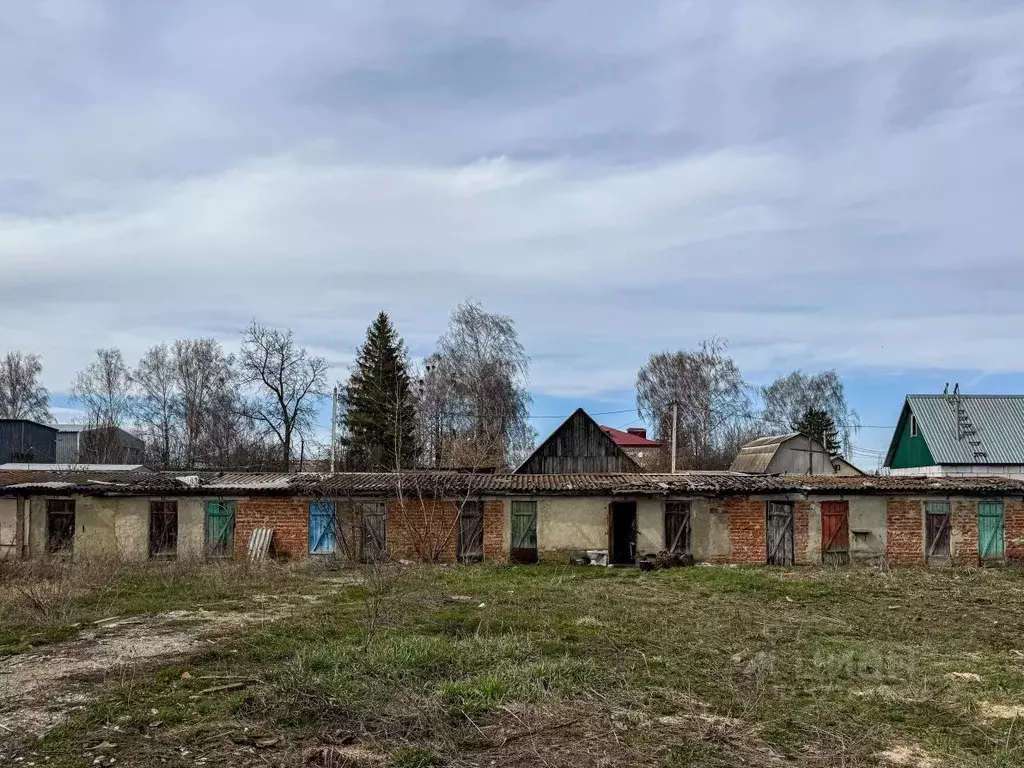 Помещение свободного назначения в Орловская область, Кромы пгт ул. К. ... - Фото 0