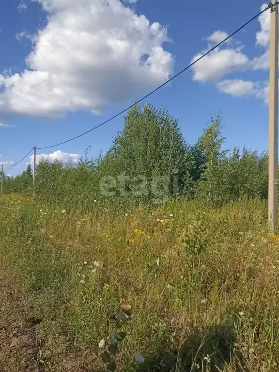 участок в нижегородская область, кстовский муниципальный округ, с. . - Фото 0