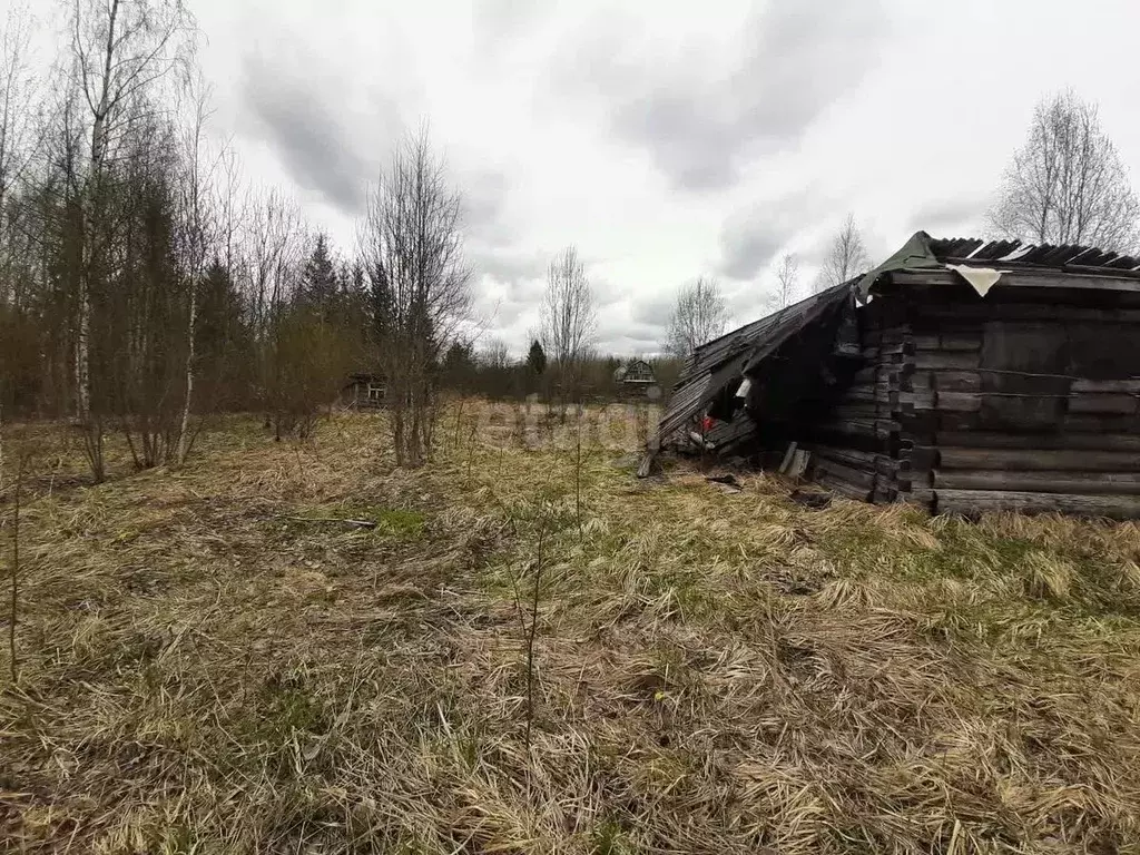 Участок в Ленинградская область, Киришский район, Кусинское с/пос, ... - Фото 1