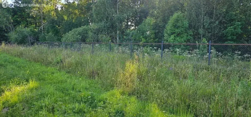 Участок в Московская область, муниципальный округ Истра, деревня ... - Фото 2