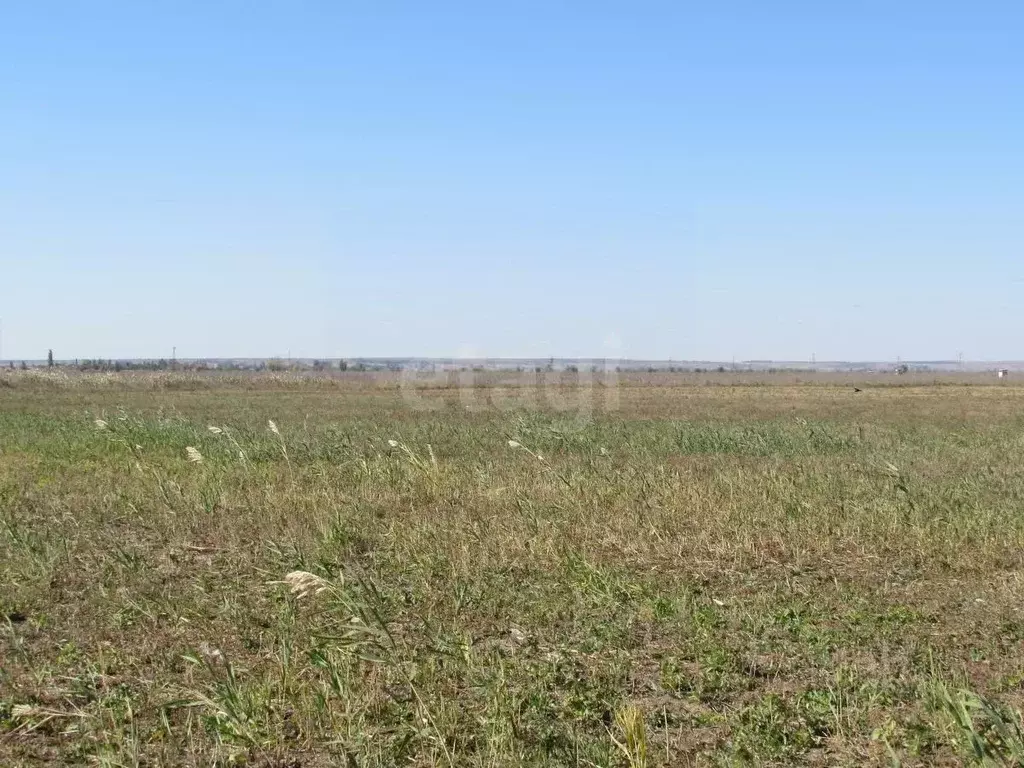 Участок в Волгоградская область, Быковский район, Новоникольское ... - Фото 1
