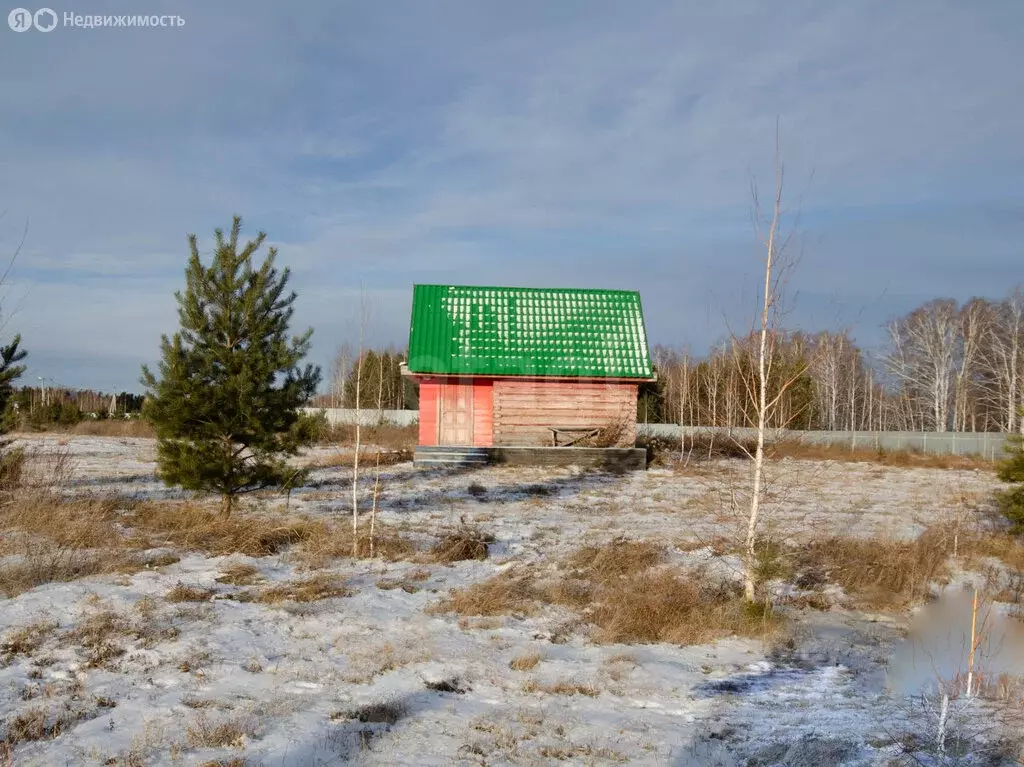 Дом в село Сингуль Татарский, Васильковая улица (20.1 м) - Фото 2