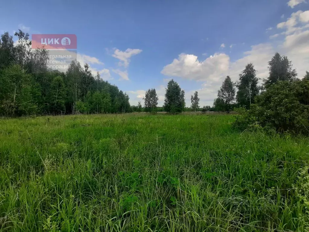 Участок в Рязанская область, Рязанский муниципальный округ, пос. ... - Фото 1