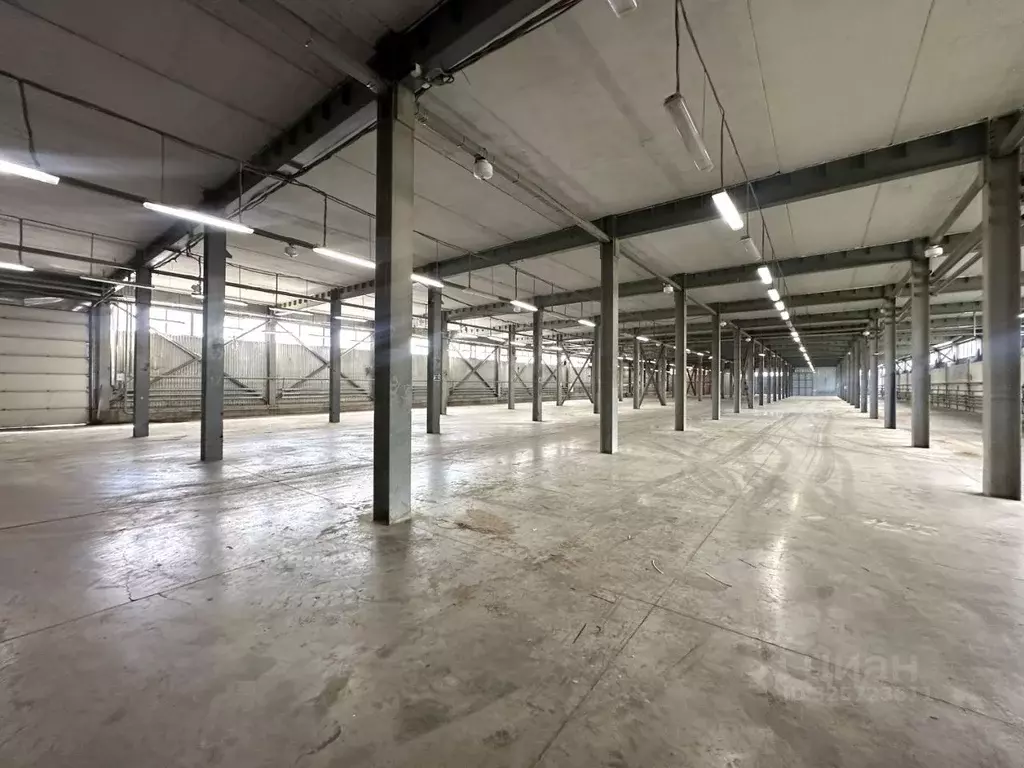 Склад в Московская область, Одинцово Баковская ул., 5 (3500 м) - Фото 1