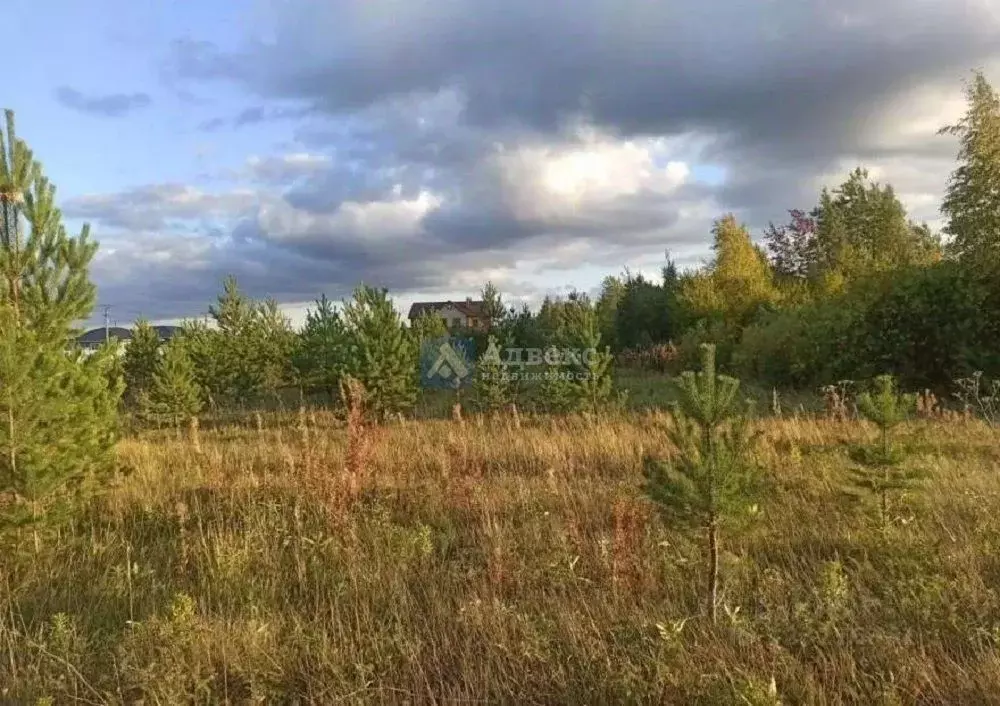 Участок в Свердловская область, Тугулымский муниципальный округ, с. ... - Фото 2