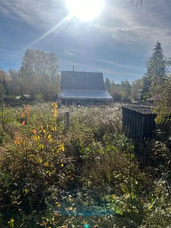 Участок в Свердловская область, Верхняя Пышма городской округ, пос. ... - Фото 1