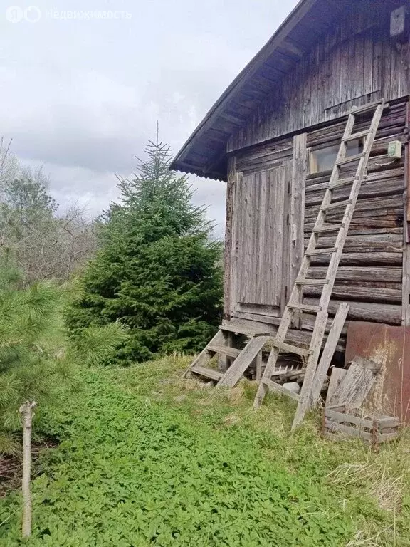 Участок в Красноборское городское поселение, садоводческий массив ... - Фото 0