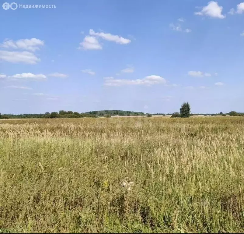 Участок в Первомайский район, село Сорочий Лог (1800 м) - Фото 2