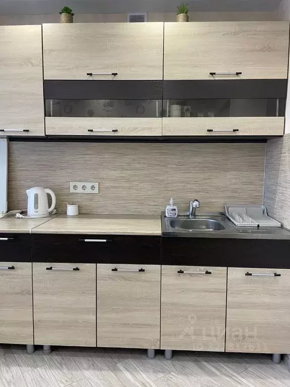 1-к кв. Псковская область, Псковский район, Завеличенская волость, д. ... - Фото 1