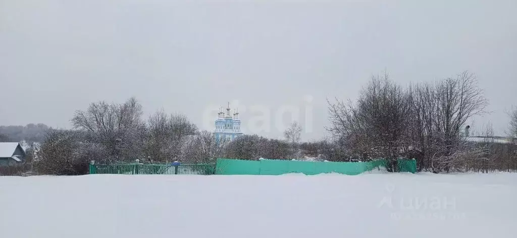 Участок в Вологодская область, Шексна рп пер. Пролетарский (5.6 сот.) - Фото 1